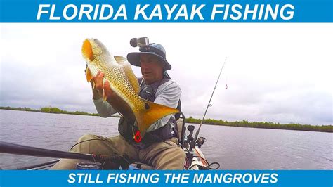 Florida Kayak Fishing – Still Fishing the Mangroves - YouTube