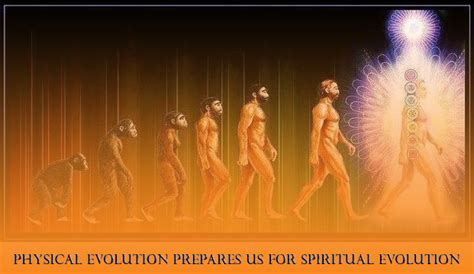 Spiritual Evolution | Andrew Charalambous