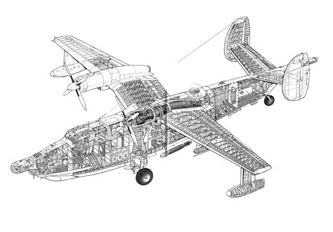 Beriev Be-12 Chayka Cutaway Drawing in High quality