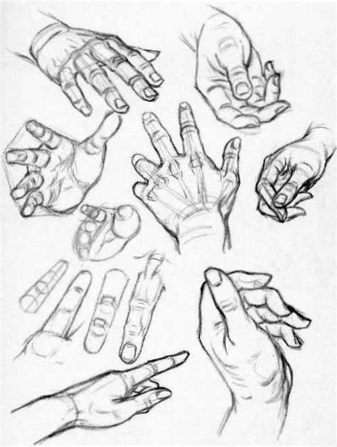 How to Draw Hands – Reference Sheets and Guides to Drawing Hands – How ...