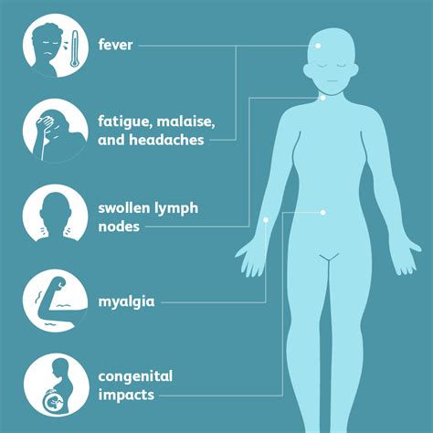 Toxoplasmosis: Signs, Symptoms, and Complications