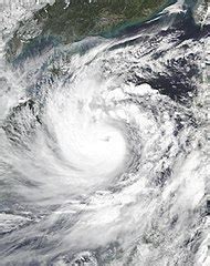 Category:Typhoon Molave (2020) - Wikimedia Commons