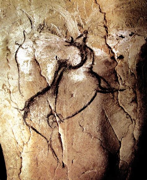 Chauvet Cave Art Paintings has drawings that date as far back as 30,000 ...