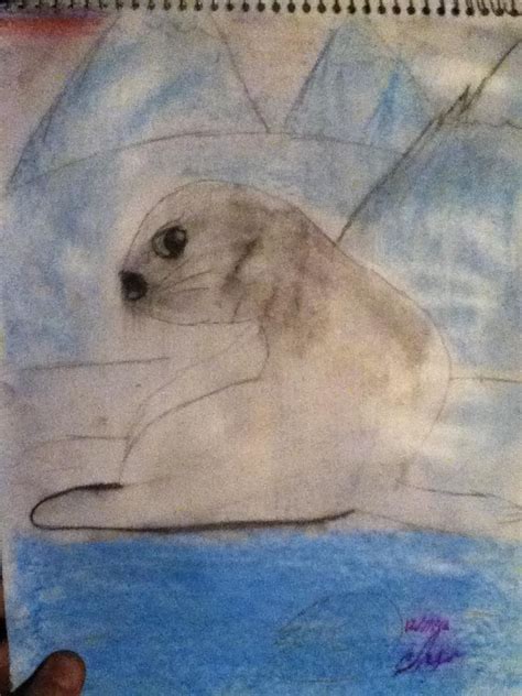 baby seal by Jesse R | Baby seal, Drawings, Painting