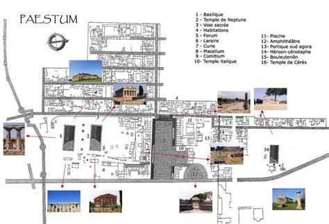 Paestum ruins | Paestum, Ruins, Mambo italiano