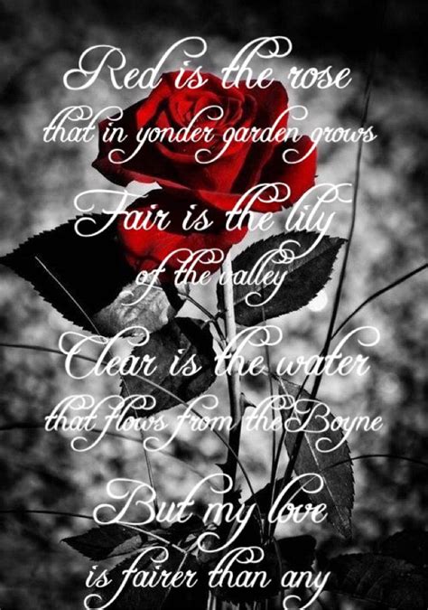 Red is the Rose lyrics | Lyrics, Red, Rose