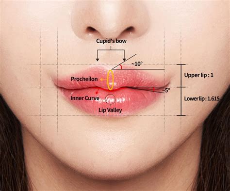 All about lip valley surgery for that pouty look - Hyundai Aesthetics Blog