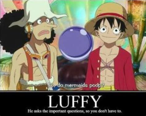 one piece memes - Meme by thatomepersom :) Memedroid