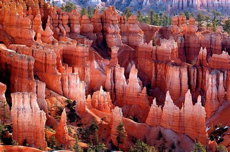 Bryce Canyon Hoodoos Photograph by Rod Irvine