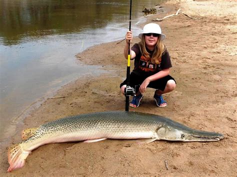 What Are Ideal Water Conditions For Garfish 2024 Atlantic Hurricane ...