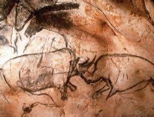 Bear DNA is clue to age of Chauvet cave art | New Scientist