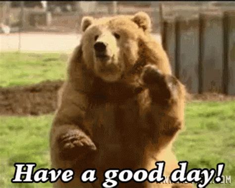 Have A Good Day Wave GIF - Have A Good Day Wave Bear - Discover & Share ...