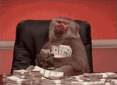 Monkey With Money Happy Withmoney GIF – Monkey With Money Happy ...