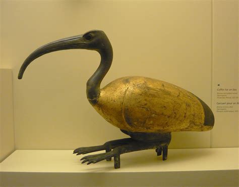 Ibis Coffin from Ancient Egypt (Illustration) - World History Encyclopedia