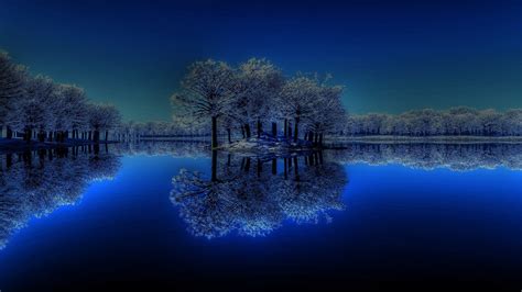 Winter Trees Reflection On Body Of Water Under Starry Sky During ...