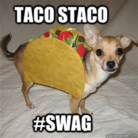 Taco Dog memes | quickmeme