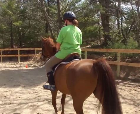 How to Ride a Horse - Step 7 | Homesteading Simple Self Sufficient Off ...