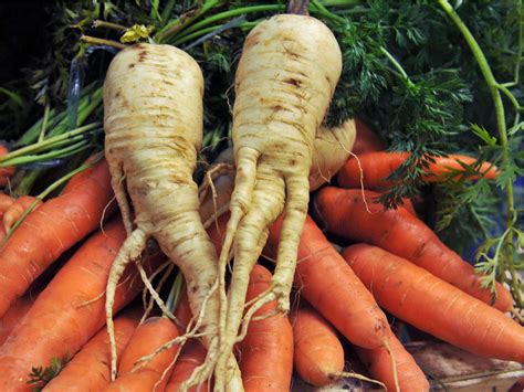 Morrisons puts misshapen seasonal vegetables back on shelves to cut ...