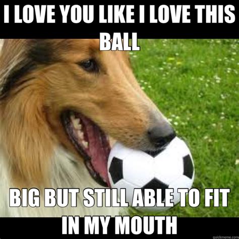 dog soccer memes | quickmeme