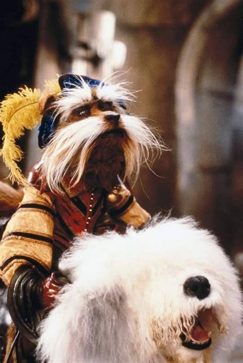 Sir Didymus | Labyrinth movie, Labyrinth movie art, Bowie labyrinth