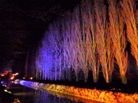 Winter Lights, Anglesey Abbey - Trees... © Richard Humphrey :: Geograph ...