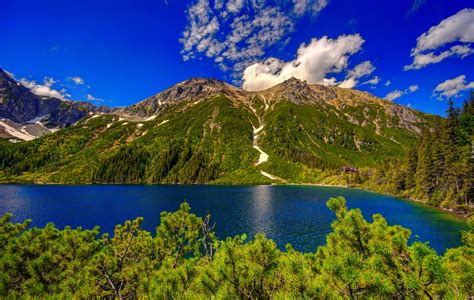 Góry, Jezioro, Lasy, Widok, Na, Tatry