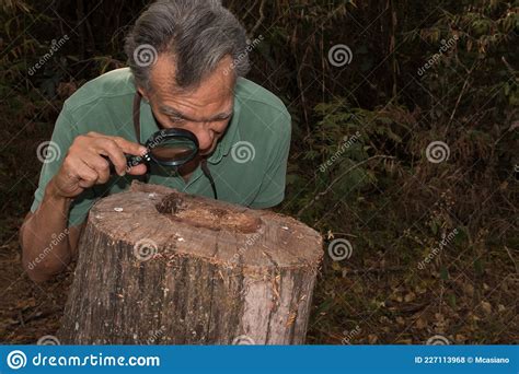 Biologist Working in the Field Stock Photo - Image of park, studying ...