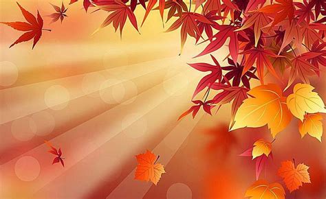 38 Free Fall Wallpapers and Backgrounds for All Your Devices | Free ...