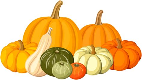 Download High Quality pumpkin clipart fall Transparent PNG Images - Art ...