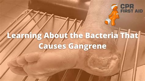 Learning About The Bacteria That Causes Gangrene | CPR First Aid