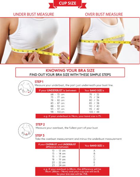 Breast Implants Cc’s And Bra Cup Sizes Guide | Breast Augmentation 101