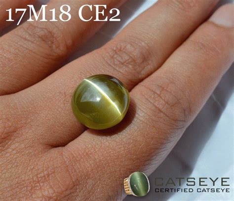 Natural Certified chrysoberyl Cats eye gemstone online at the very ...