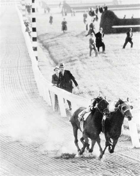 How not to win the Melbourne Cup: What happens when the family horse ...