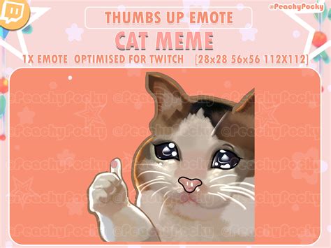 Twitch Emote 1x Thumbs up Cry Cat Meme Twitch Emotes / Streamer ...