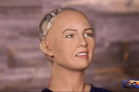 Sophia the AI Robot Is First Non-Human Recipient of UN Technology ...