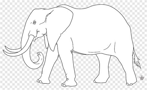 Sketsa Gajah - 4 Cara Untuk Menggambar Gajah Wikihow - 12 sketsa gambar ...