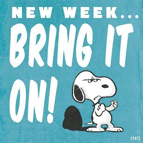 Pin on Days of the Week | Snoopy quotes, Snoopy, Snoopy funny