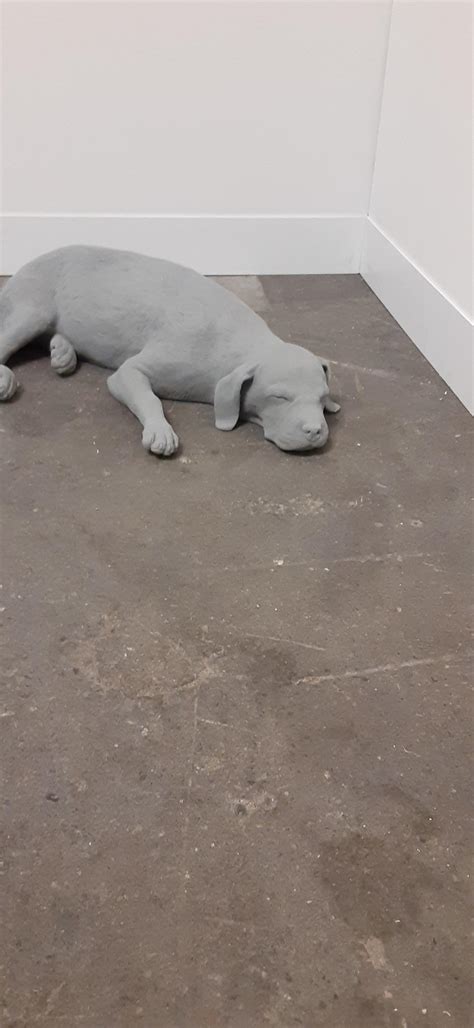 This Incredibly Realistic Sculpture Of A Dog : r/mildlyinteresting