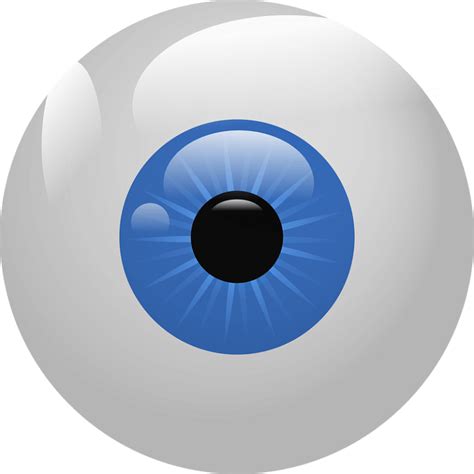 Eyeball Clipart. Free Download Transparent .Png Free Png Images