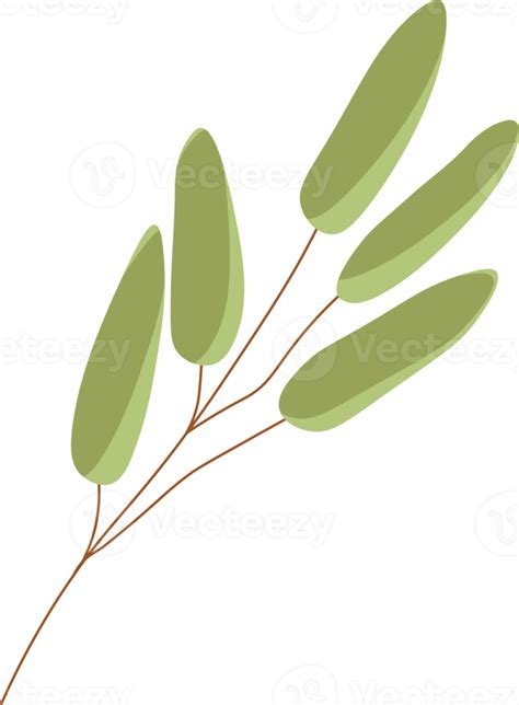 Peanut branch. peanut leaves 21022582 PNG