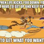 wile e coyote and roadrunner Meme Generator - Imgflip