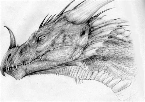 El Dragon | Dragon sketch, Realistic dragon, Dragon head drawing