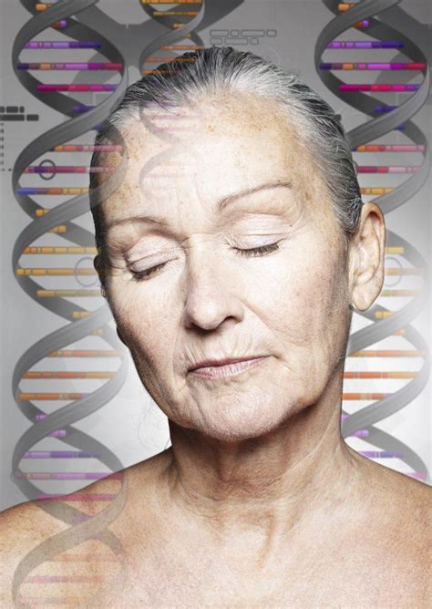 The genetic theory of ageing: Truth or Fiction? | Core Spirit