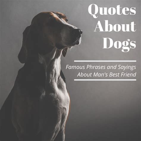 Famous Quotes About Dogs - Holidappy