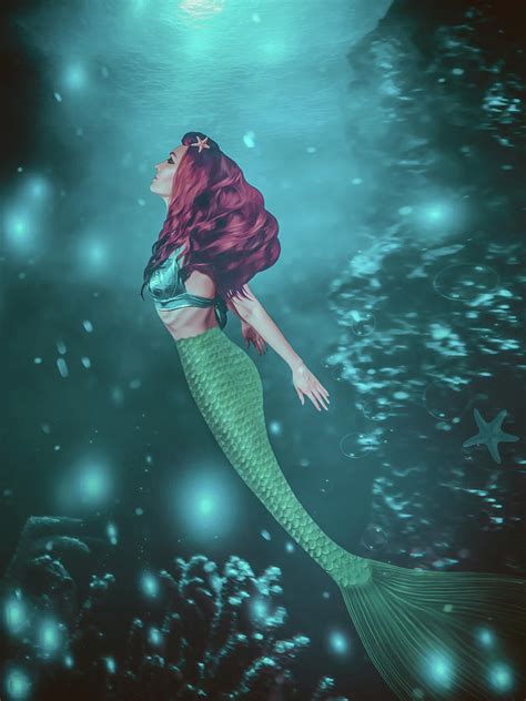 A beautiful mermaid is swimming to the sea surface from the bott ...