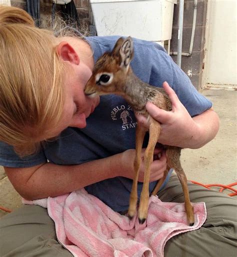 40 Cute Exotic Babies That Will Warm The Hearts Of Everyone