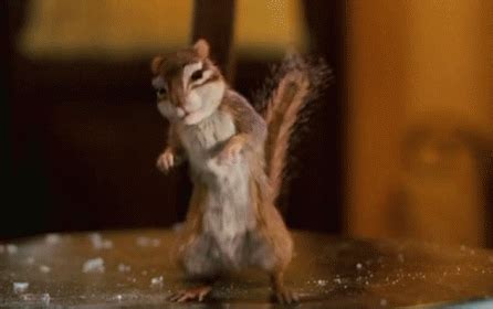 - GIF - Enchanted Disnet Squirrel - Discover & Share GIFs