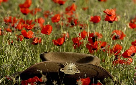 Download Army Flower Poppy Hat Holiday Anzac Day Wallpaper