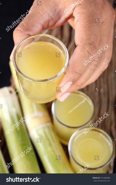 Drinks Sugar Cane Stock Photo 161082986 | Shutterstock