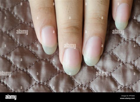 Long fingernails – Telegraph